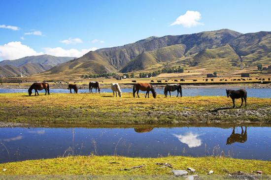 ��Ӱ�ҵ����á��¶���-���ϵ���