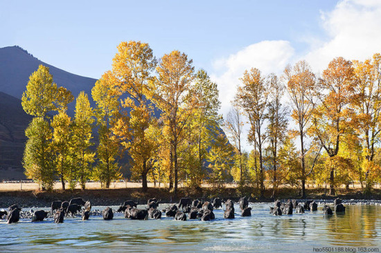 ��Ӱ�ҵ����á��¶���-���ϵ���