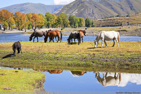 ��Ӱ�ҵ����á��¶���-���ϵ���