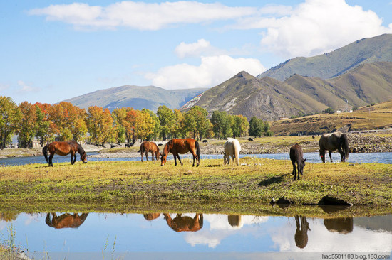 ��Ӱ�ҵ����á��¶���-���ϵ���