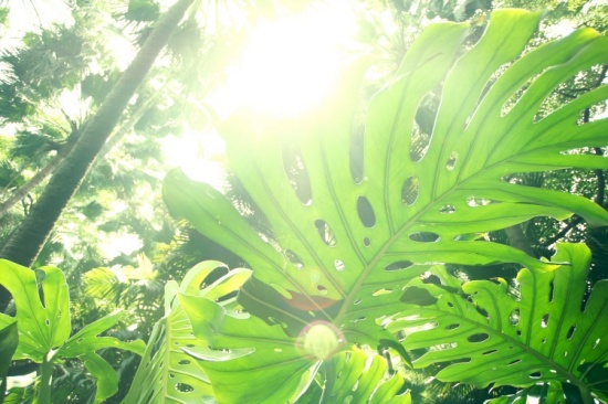 ���ԣ��������ĺ�԰-��Ȼ�羰