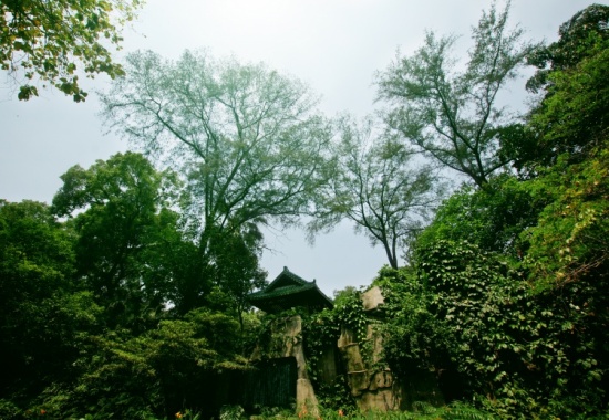 ���ԣ��������ĺ�԰-��Ȼ�羰