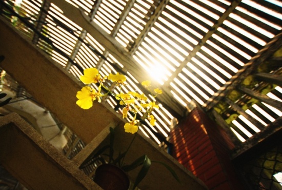 ���ԣ��������ĺ�԰-��Ȼ�羰