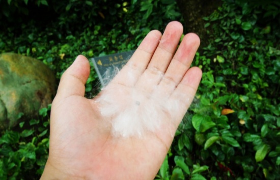 ���ԣ��������ĺ�԰-��Ȼ�羰