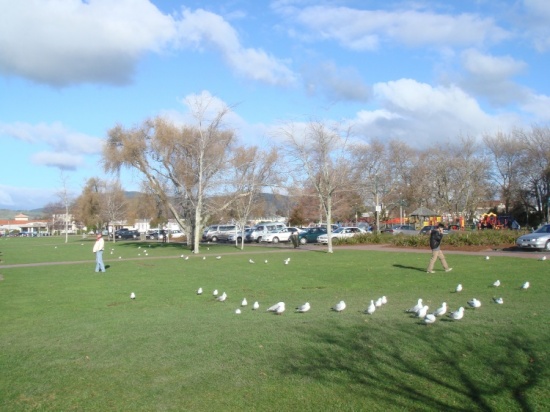 ͯ��������-��Ȼ�羰