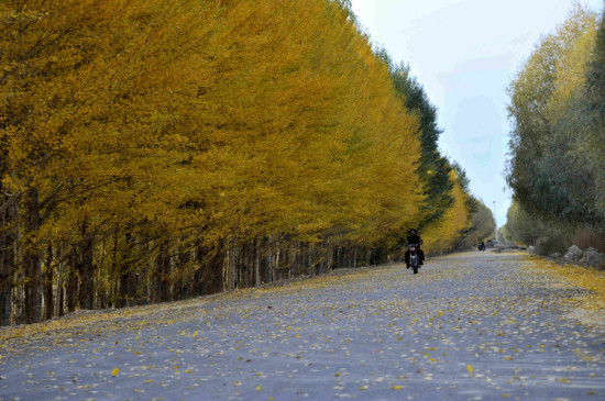 ��������̩-��������