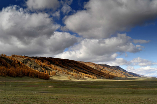 ��������̩-��������