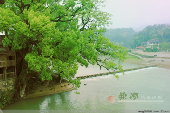 �㽭-̩˳������֮�磩�ɷ�-��������