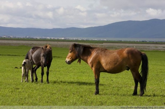 �������������-���ϵ���