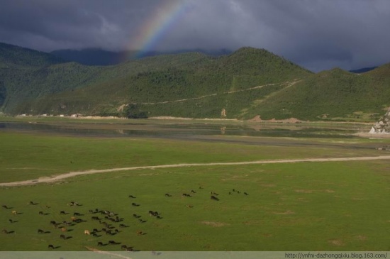 �������������-���ϵ���