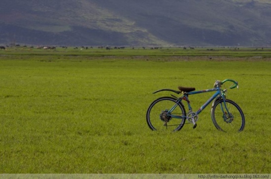 �������������-���ϵ���