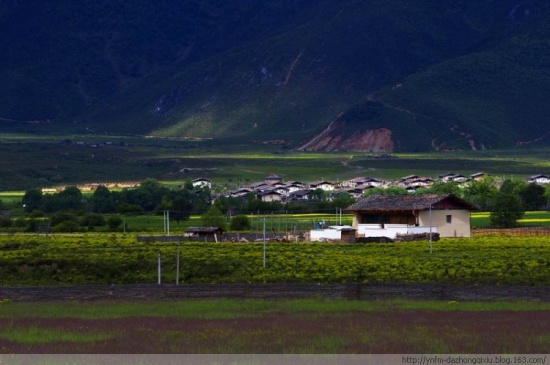 �������������-���ϵ���