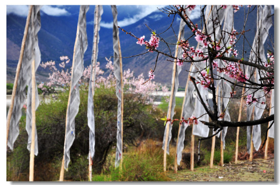 ������֮��ʾ��顰��ᦡ�-���ϵ���