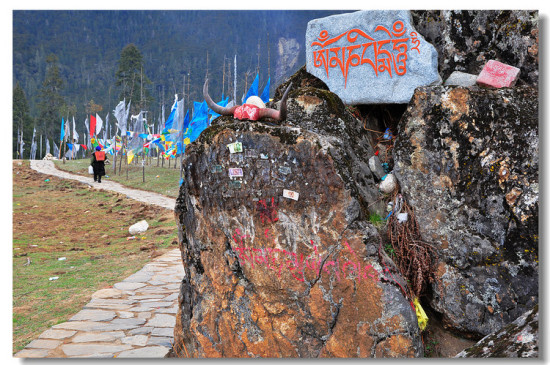 ������֮��ʾ��顰��ᦡ�-���ϵ���