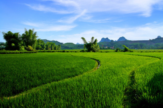 �𱱷��-��Ȼ�羰