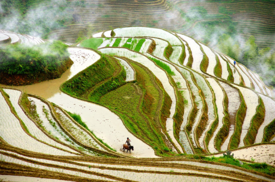 �𱱷��-��Ȼ�羰