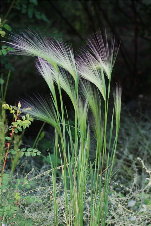 �̽�<span class=lxw>[ע: �̽���-�̽���λ������ʡ���ϲ����ɺ����������ĵش��������ٰ�ɽ��Ͻ�������ϸ����ɺ���Ӫ���������������ٽ�����Ͻ�������ٲ����ɶ��塣]</span>�ĺ���̲-��Ȼ�羰