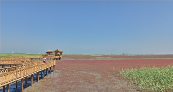 �̽��ĺ���̲-��Ȼ�羰