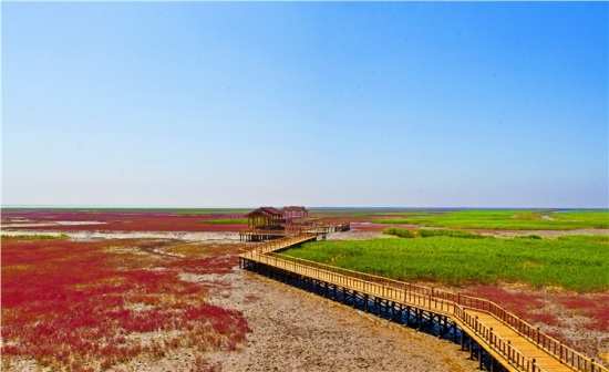 �̽��ĺ���̲-��Ȼ�羰