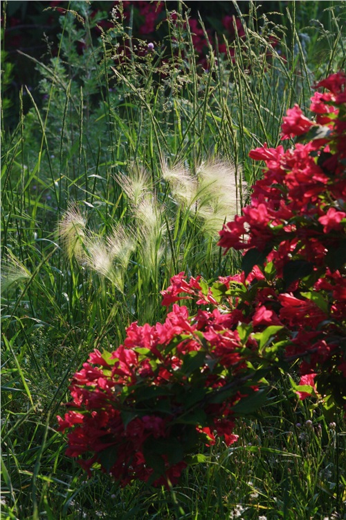 �̽��ĺ���̲-��Ȼ�羰