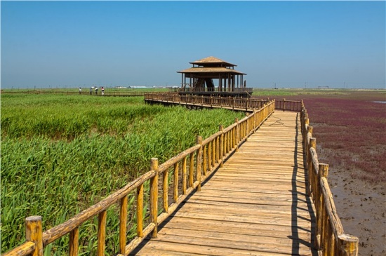 �̽��ĺ���̲-��Ȼ�羰