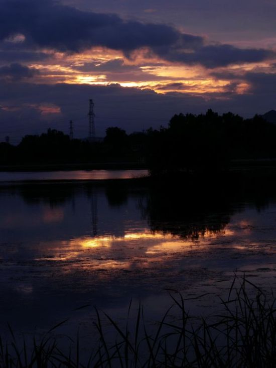 ���Źط���-��Ȼ�羰