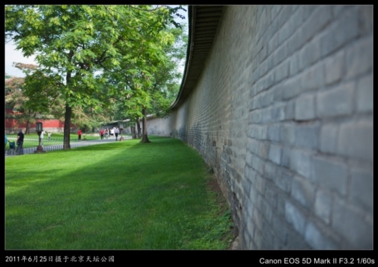 ������̳��԰-������Ӱ