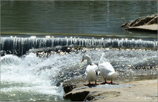 ������ׯ�������´�-��Ȼ�羰