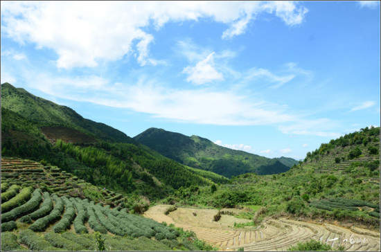 ������ׯ�������´�-��Ȼ�羰