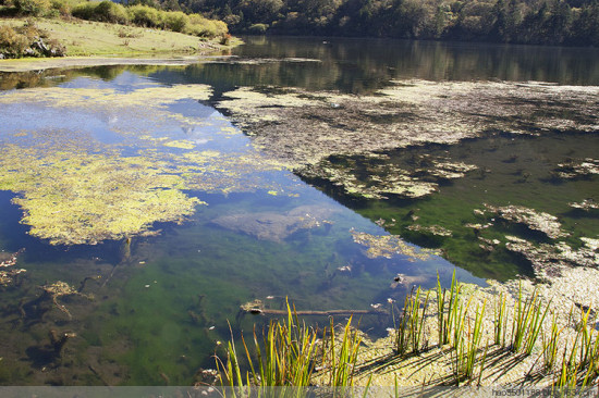 ����<span class=lxw>[ע: ������һ�������������ʷ�Ļ�����һ������ɽ�����������ĺ���һ�����ǧ�ž��������������ˡ����β��������ݾ��á����Ρ��Ļ������ġ�]</span>��ɫ��-���ϵ���