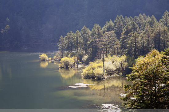 ������ɫ��-���ϵ���