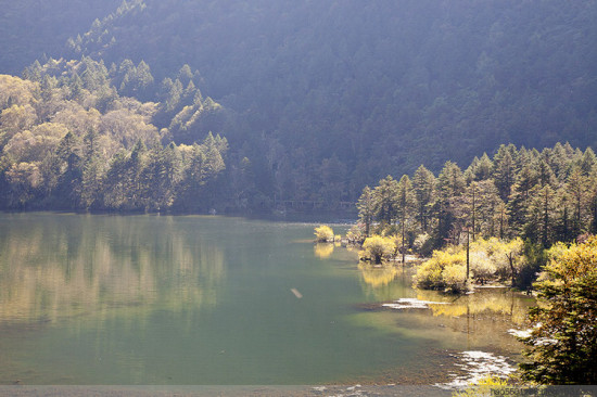 ������ɫ��-���ϵ���