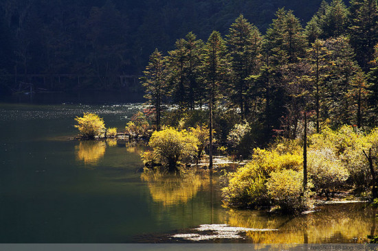 ������ɫ��-���ϵ���