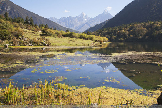 ������ɫ��-���ϵ���