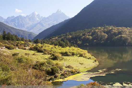 ������ɫ��-���ϵ���