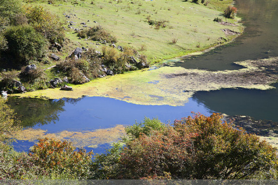 ������ɫ��-���ϵ���