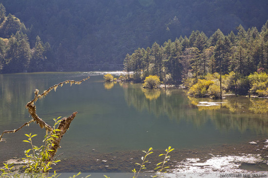 ������ɫ��-���ϵ���