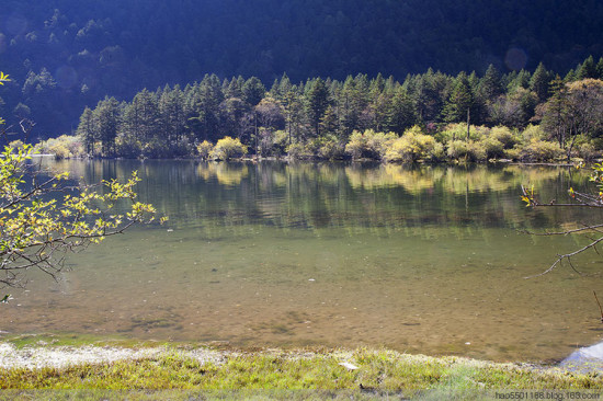 ������ɫ��-���ϵ���