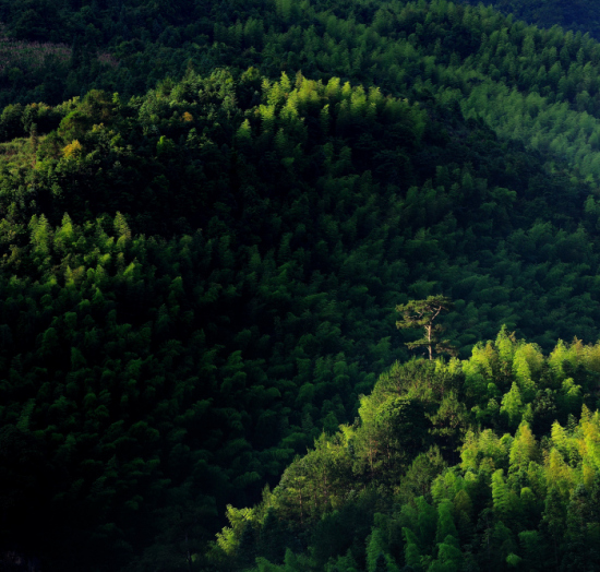 �ͼ���¥С��-��Ȼ�羰