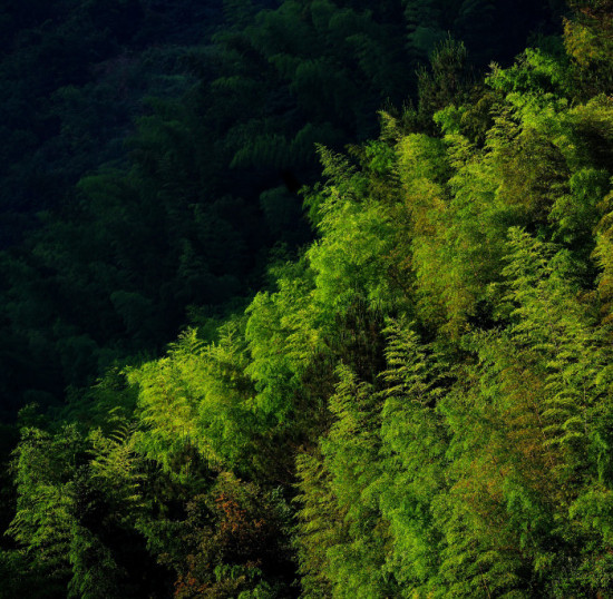 �ͼ���¥С��-��Ȼ�羰