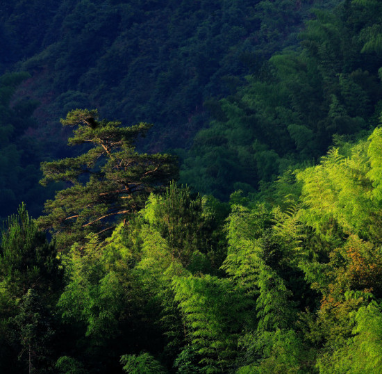 �ͼ���¥С��-��Ȼ�羰