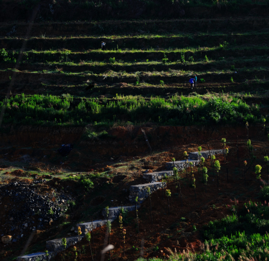 �ͼ���¥С��-��Ȼ�羰