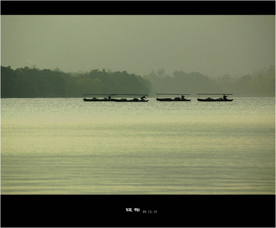 ���{����-��������