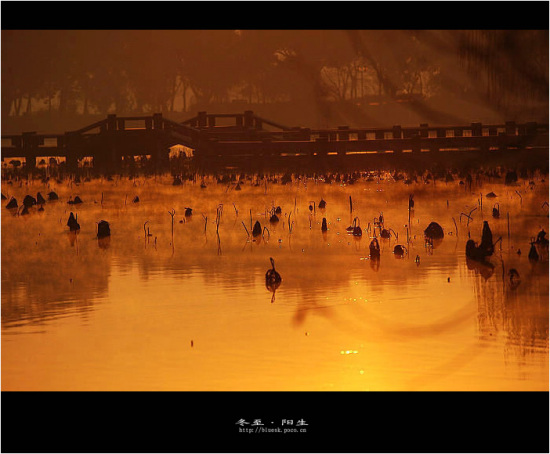 ���{����-��������