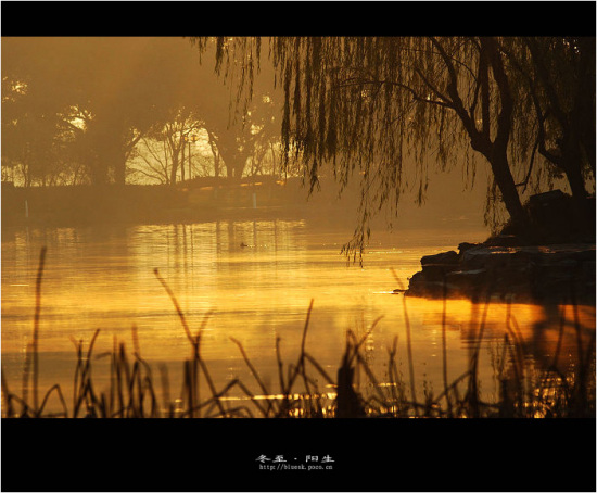 ���{����-��������