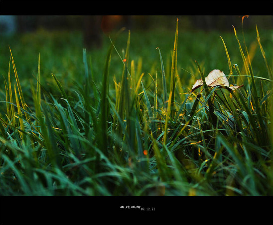 ���{����-��������