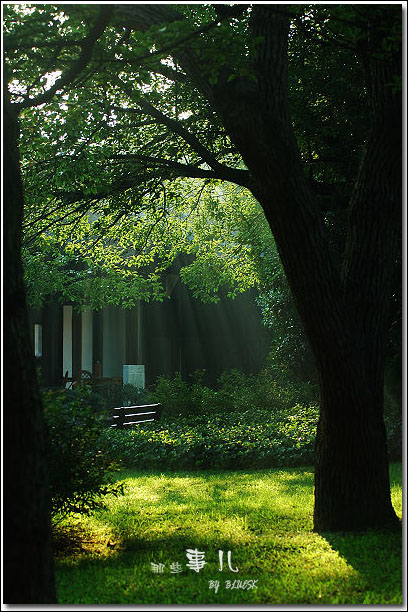 ���{����-��������