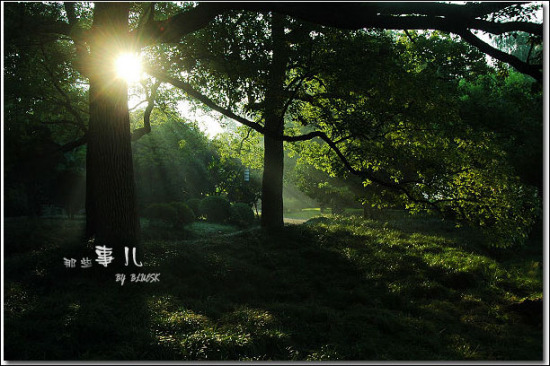 ���{����-��������