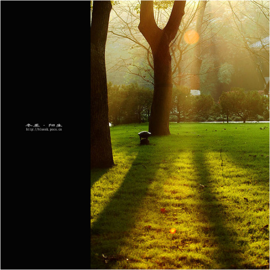 ���{����-��������