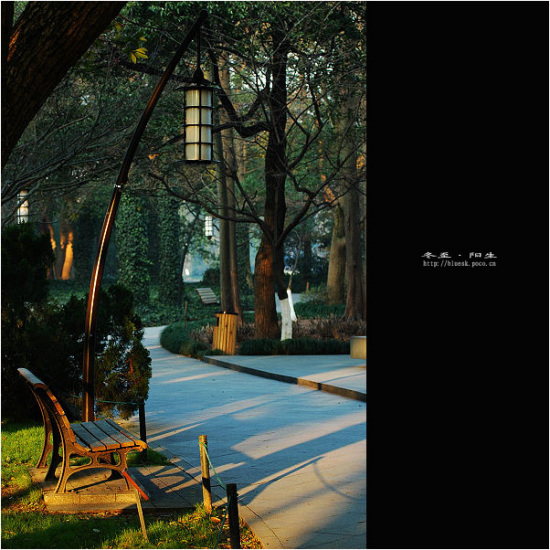 ���{����-��������